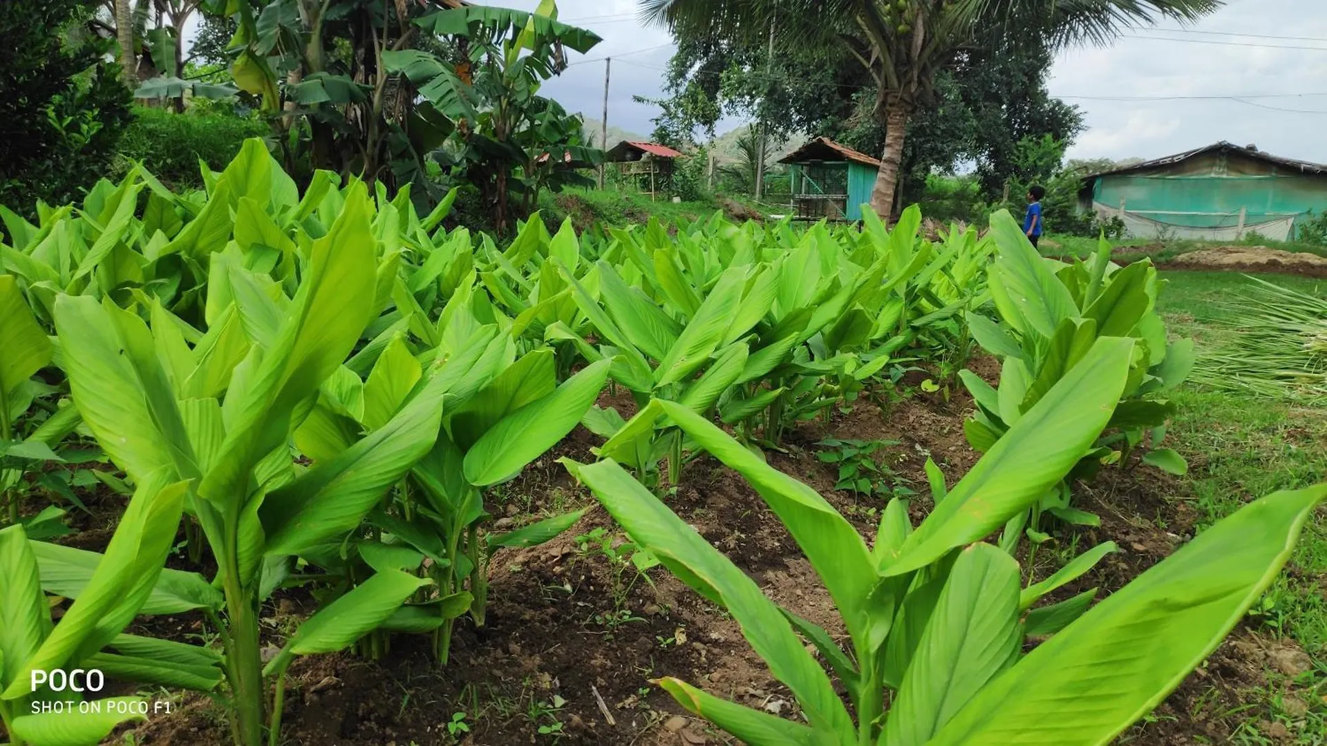 Midway Crest Farmstay Attappadi Farm stay