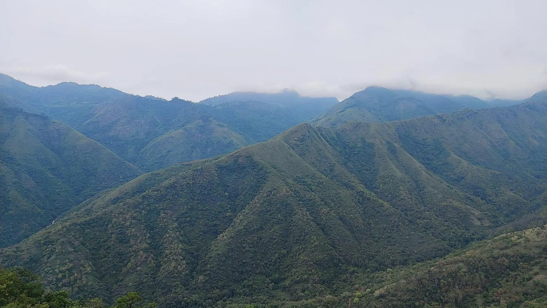 Midway Crest Farmstay Attappadi India
